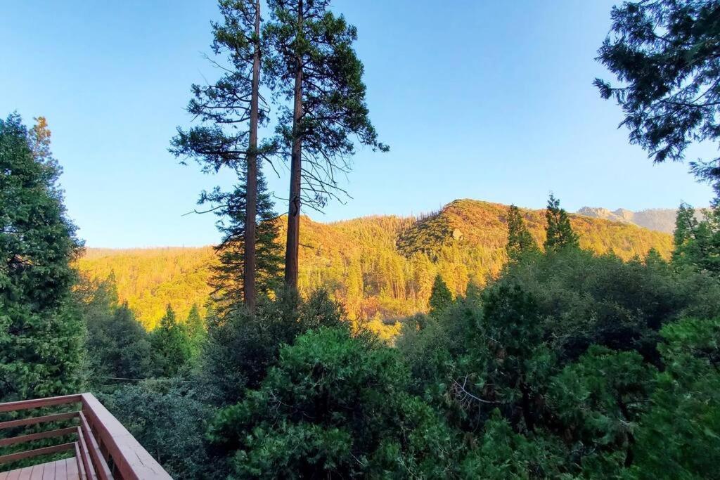 Ponderosa Redwood Retreat, Mountains, Adventure And Nature מראה חיצוני תמונה