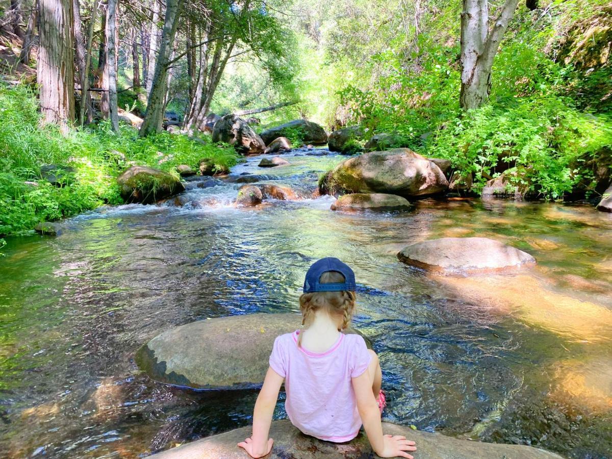 Ponderosa Redwood Retreat, Mountains, Adventure And Nature מראה חיצוני תמונה