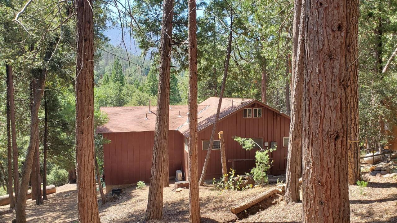 Ponderosa Redwood Retreat, Mountains, Adventure And Nature מראה חיצוני תמונה