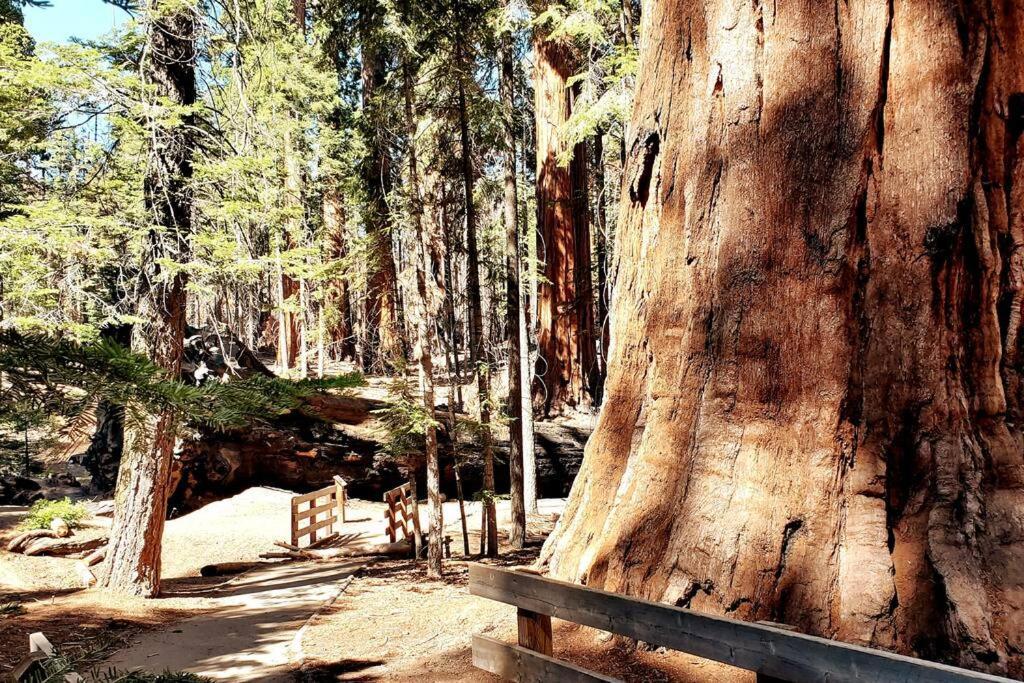Ponderosa Redwood Retreat, Mountains, Adventure And Nature מראה חיצוני תמונה