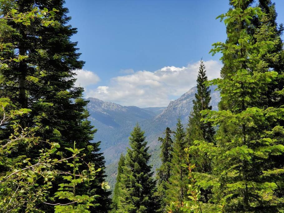 Ponderosa Redwood Retreat, Mountains, Adventure And Nature מראה חיצוני תמונה