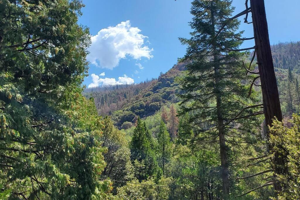 Ponderosa Redwood Retreat, Mountains, Adventure And Nature מראה חיצוני תמונה