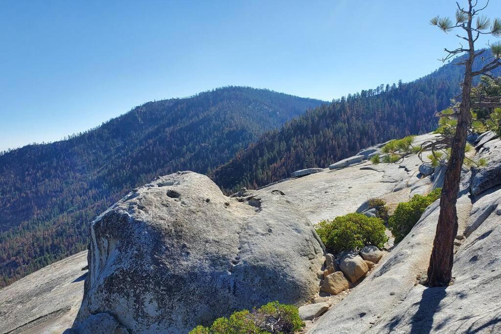 Ponderosa Redwood Retreat, Mountains, Adventure And Nature מראה חיצוני תמונה