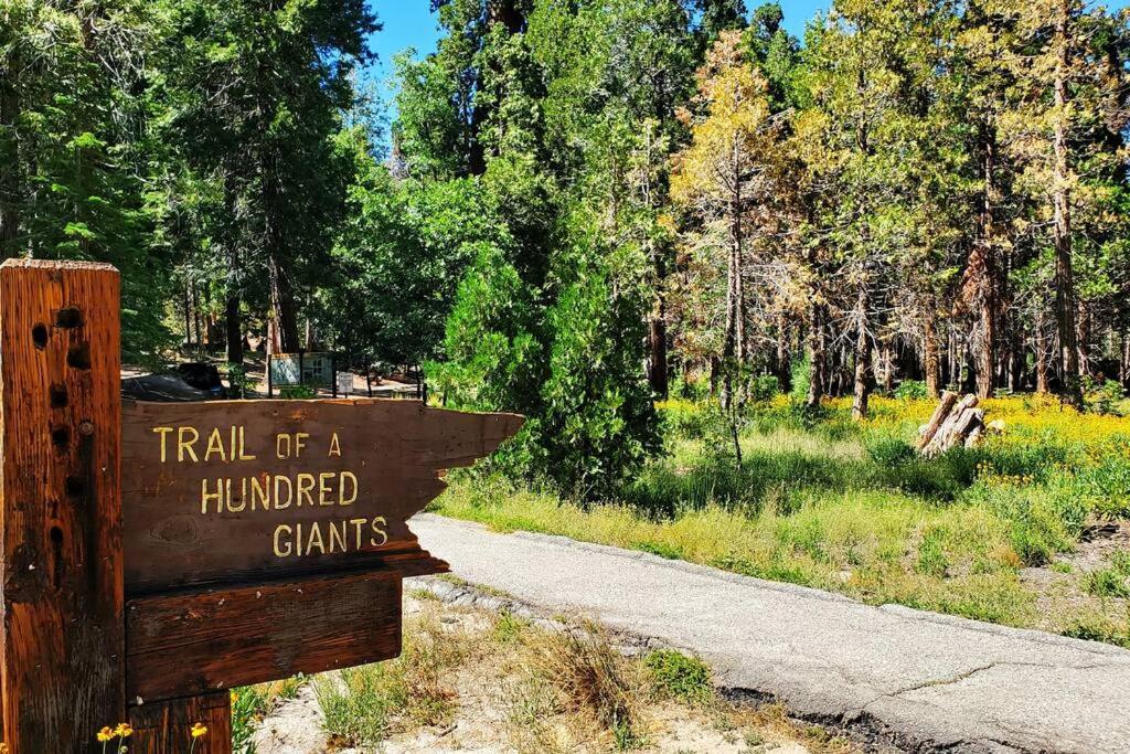 Ponderosa Redwood Retreat, Mountains, Adventure And Nature מראה חיצוני תמונה