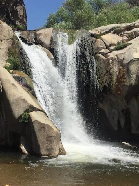 Ponderosa Redwood Retreat, Mountains, Adventure And Nature מראה חיצוני תמונה